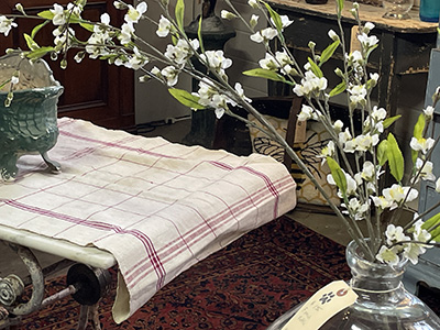 Happy St. Patrick's Day!